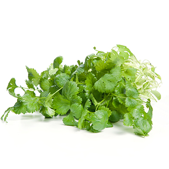 KORIANDER 1KG KISTE Koriander 1kg Kiste