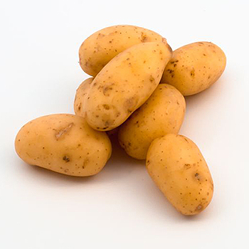 KARTOFFELN PETIT Kartoffeln Petit