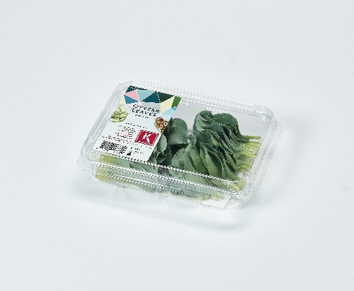 KOPPERT OYSTER LEAF 50er SCHALE Koppert Oyster Leaf 50er Schale
