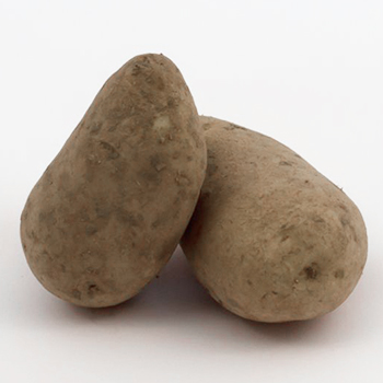 KARTOFFELN Afra