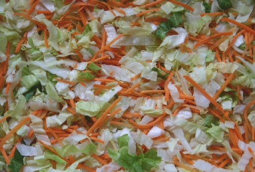 MISCHSALAT SCHONKOST (72) 1 KG 35% Möhrenstreifen, 35% Endiviestreifen, 30% Eisbergsalat Mischsalat Schonkost 1kg