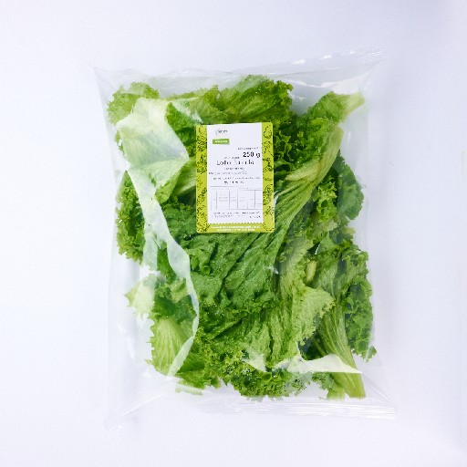 LOLLO BIONDA BLÄTTER SORTIERT (111) 250G BEUTEL/KILO NAPURO Lollo Bionda Blätter sortiert 250g