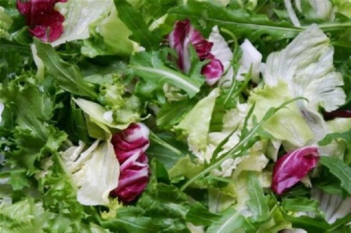 MISCHSALAT JAZZ (72) 1KG Mischsalat Jazz 1kg