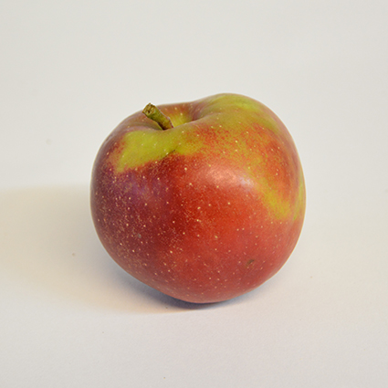 Apfel Boskop kg