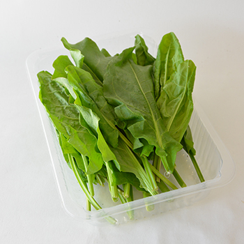 SAUERAMPFER 100G  Sauerampfer 100g Schale
