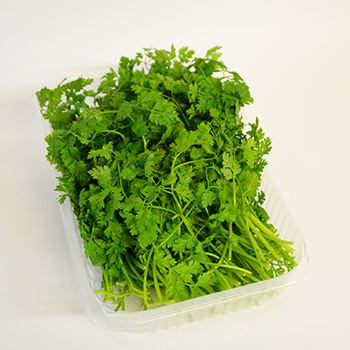 KERBEL 100G SCHALE Kerbel 100g Schale