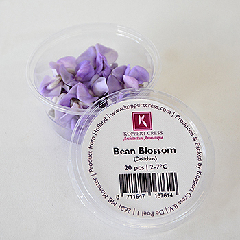 KOPPERT BEANBLOSSOM SCHALE  Koppert Beanblossom 100g Schale