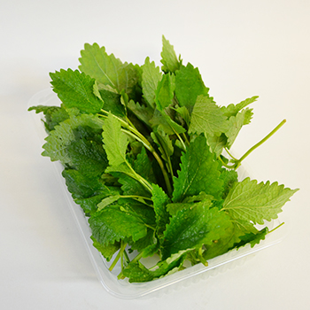MELISSE 100G SCHALE Melisse 100g Schale