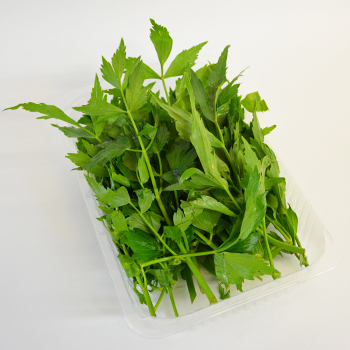 LIEBSTÖCKEL 100G SCHALE Liebstöckel 100g Schale
