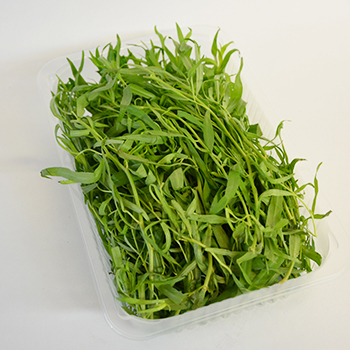 ESTRAGON 100G SCHALE Estragon 100g Schale