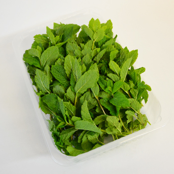 MINZE 100G SCHALE Minze 100g