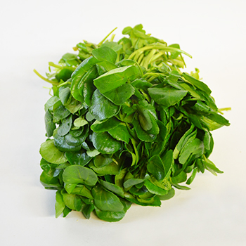 BRUNNENKRESSE BUND Brunnenkresse 450g Bund