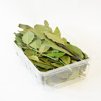 LORBEERBLÄTTER 100G SCHALE Lorbeerblätter Schale