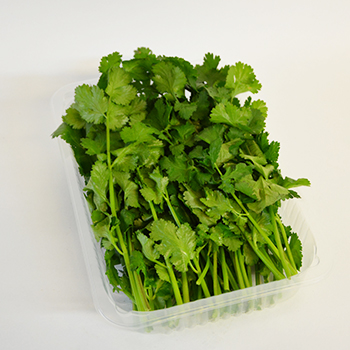 KORIANDER 100G SCHALE Koriander 100g Schale