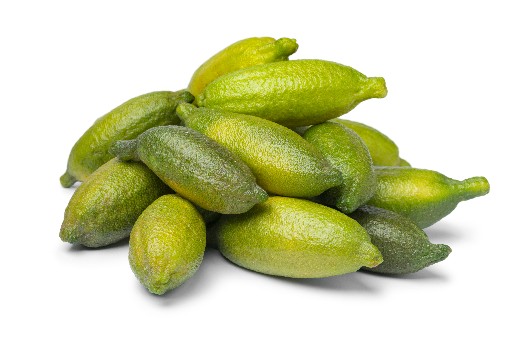 FINGER LIMES KG Finger Limes 