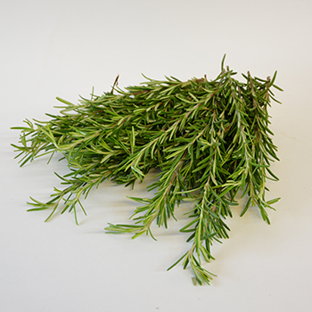 ROSMARIN 1KG KISTE Rosmarin 1kg Kiste