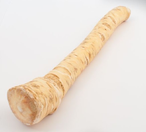 MEERRETTICH Meerrettich