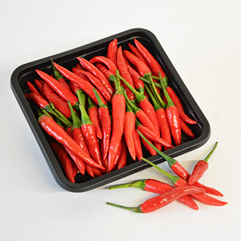 CHILI RAWIT ROT 100G SCHALE Chili Rawit Rot 100g