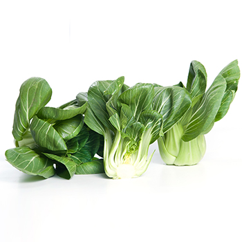 MINI PAK CHOI Mini Pak Choi