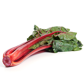 MANGOLD ROT KG Mangold Rot kg