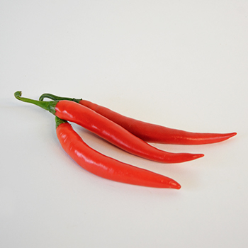 PEPERONISCHOTEN ROT KG Peperonischoten Rot kg