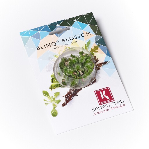 KOPPERT BLINQ BLOSSOM SCHALE Koppert BlinQ Blossom Schale