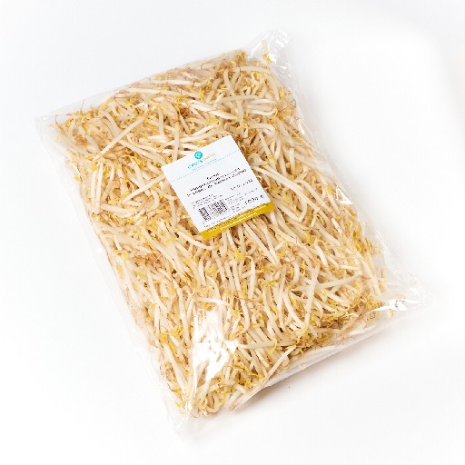 MUNGOBOHNENSPROSSEN BEUTEL 1KG Mungobohnensprossen 1kg Beutel