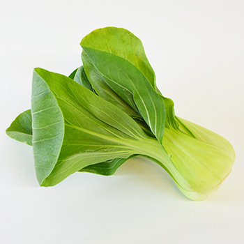 Shanghai Pak Choi