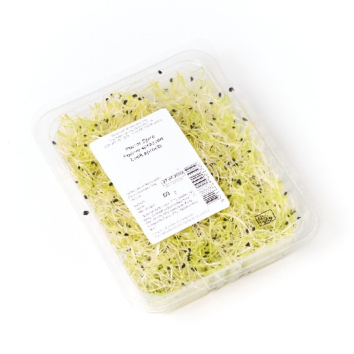 ZWIEBELSPROSSEN 50G Zwiebelsprossen 50g Schale