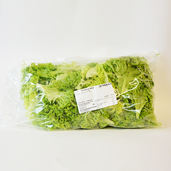 LOLLO BIONDA BLÄTTER GROß GEPUTZT UND SORTIERT (111) 0,5KG BEUTEL Lollo Bionda Blätter groß geputzt und sortiert 0,5kg Beutel