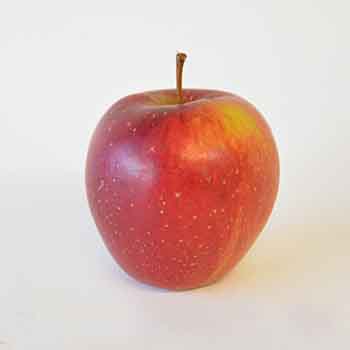 APFEL WELLAND KG 75+ Welland Apfel