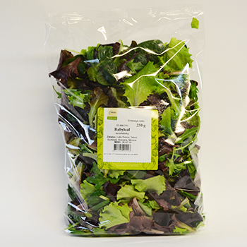 BABY LEAF /SALAT MIX ( NAPURO, GSH )  250G BEUTEL Napuro Baby Leaf 250g Beutel