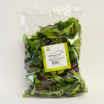 WILDKRÄUTERSALAT (NAPURO, GSH) 250G BEUTEL/KG Mizuna, Tatsoi, roter Mangold, Spinat, Bull´s Blood, Curly Cale, Landkresse Wildkräutersalat 250g