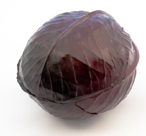 ROTKOHL Rotkohl kg