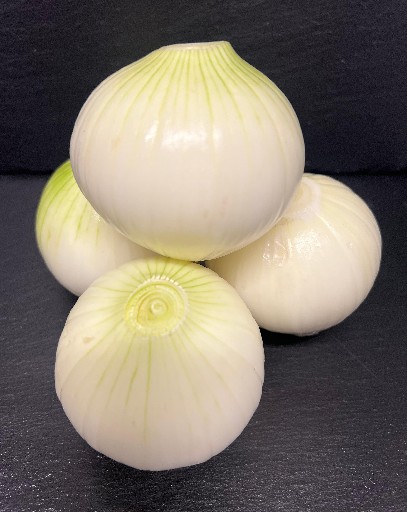 ZWIEBELN GANZ GESCHÄLT (72) 10 KG Zwiebel ganz geschält 10 kg