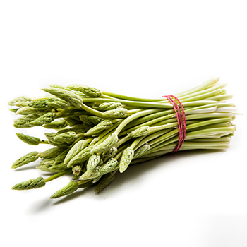 Spargel wild 200g