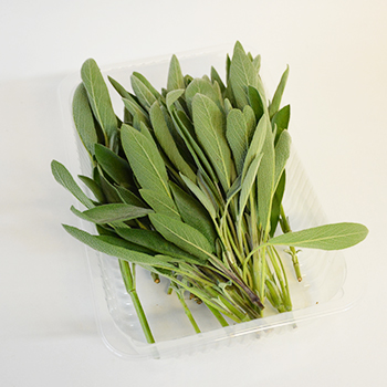 SALBEI 100G SCHALE Salbei 100g Schale