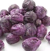 Red Sprout (wilder Rosenkohl)