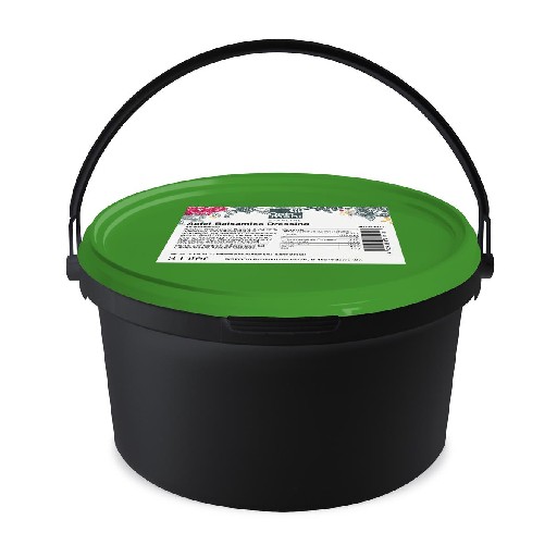 DRESSING STARLINE APFEL -  BALSAMICO  3 L (244) Vegan Dressing Starline Apfel - Balsamico 3l