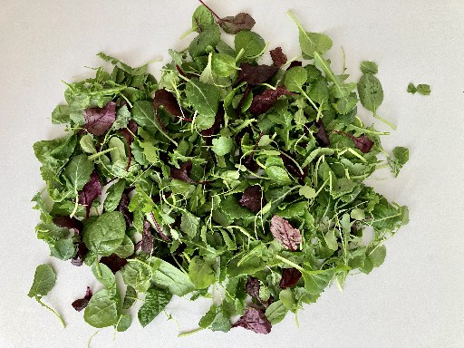 BABY SALATMIX HANS (287) 0,250 KG BEUTEL Rote Bete Blätter, Babyspinat, Curly Kale, Tatsoi, Landcress und Rucola Baby Salatmix Hans 0,250kg