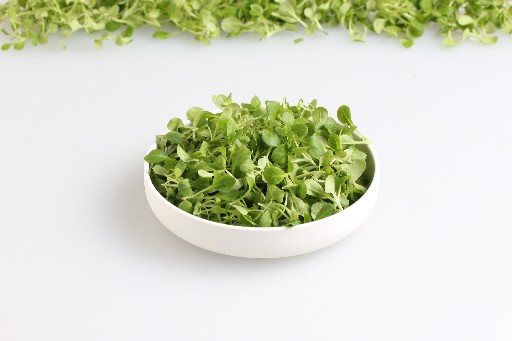 KELTENHOF MICRO FELDSALAT 30G SCHALE Keltenhof Micro Feldsalat 30g Schale
