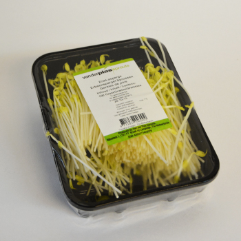ERBSSPARGELSPROSSEN Erbsspargelsprossen 100g Schale