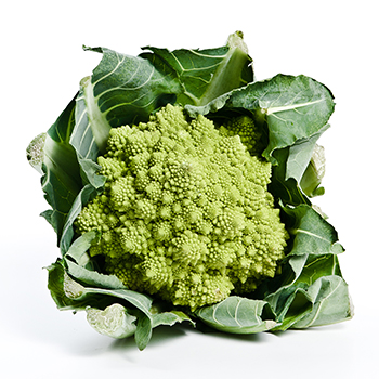 ROMANESCO STÜCK Romanesco Stück