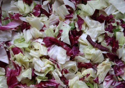 BLATTSALAT EISBERG - RADICCHIO (72) 1KG In Streifen 75% Eisberg + 25% Radicchio Blattsalat Eisberg - Radicchio 1kg