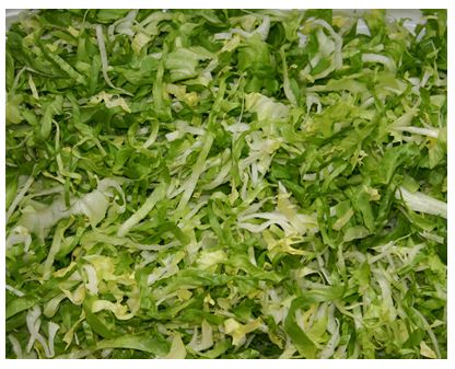 ENDIVIEN  FEIN (72) 4-6MM 1,0KG Endivien 4-6mm 1kg