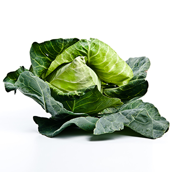 SPITZKOHL Spitzkohl kg 