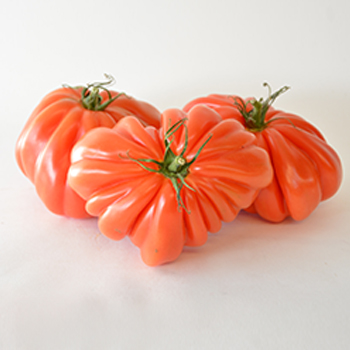 BULLENHERZTOMATEN (COEUR DE BOEUF) KG Bullenherztomaten (Coeur de Boeuf)
