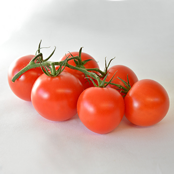 TOMATEN "TASTY TOM" KG Tomaten TastyTom kg