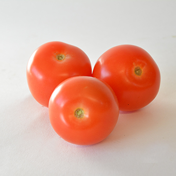TOMATEN K L E I N !!!! 47mm+ Tomaten 47mm+