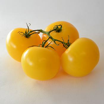 STRAUCHTOMATEN GELB KILO Strauchtomaten gelb